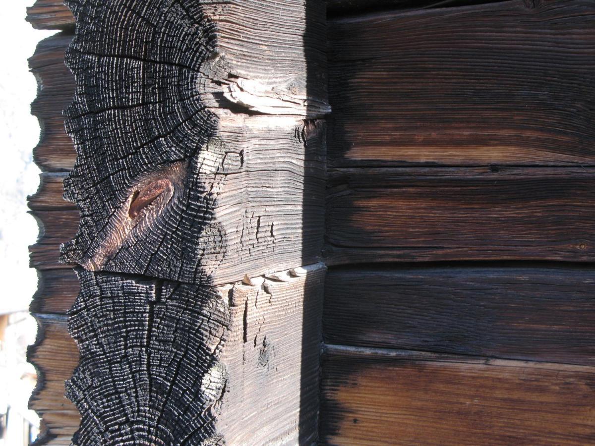 Alpia 26 - Zwei Zimmerwohnung In Traditionellem Walliser Haus Gasenried Exterior photo