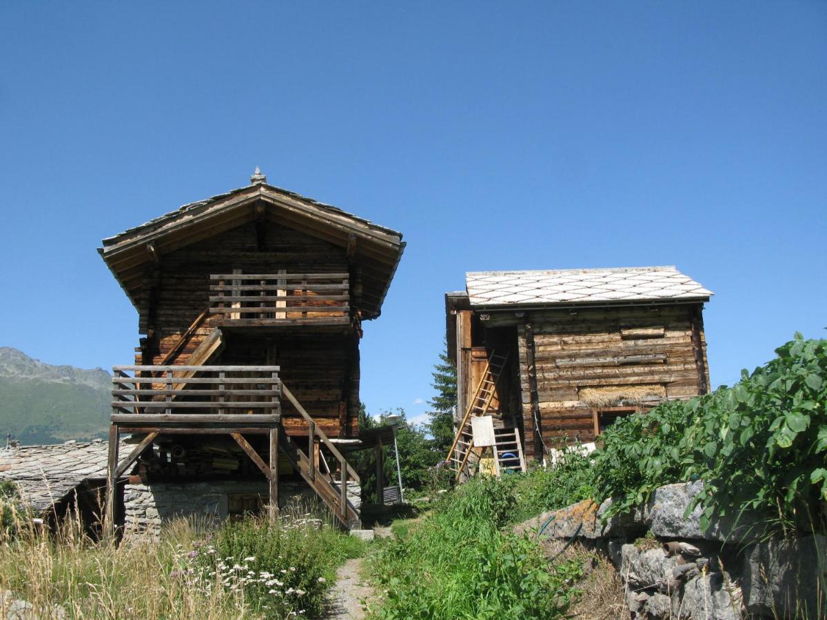 Alpia 26 - Zwei Zimmerwohnung In Traditionellem Walliser Haus Gasenried Exterior photo